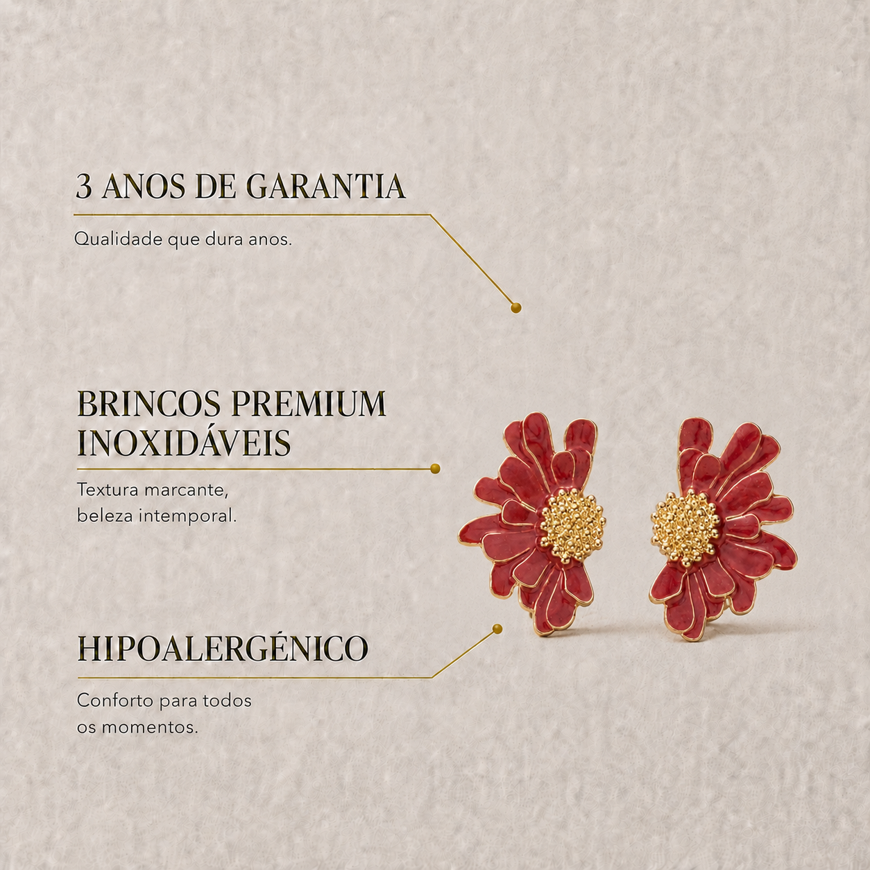 Brincos Amora